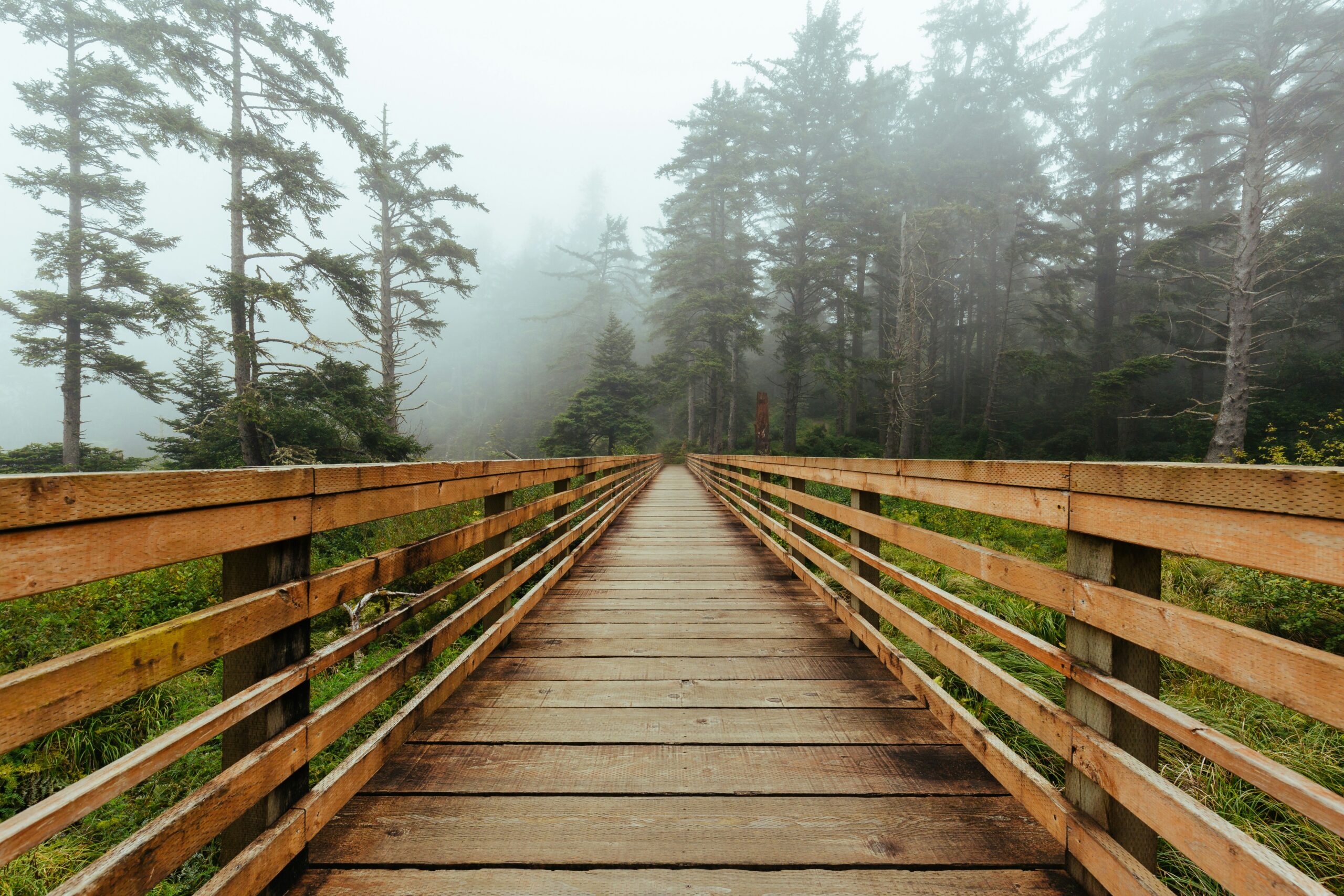 dave hoefler cls3zn5wte0 unsplash